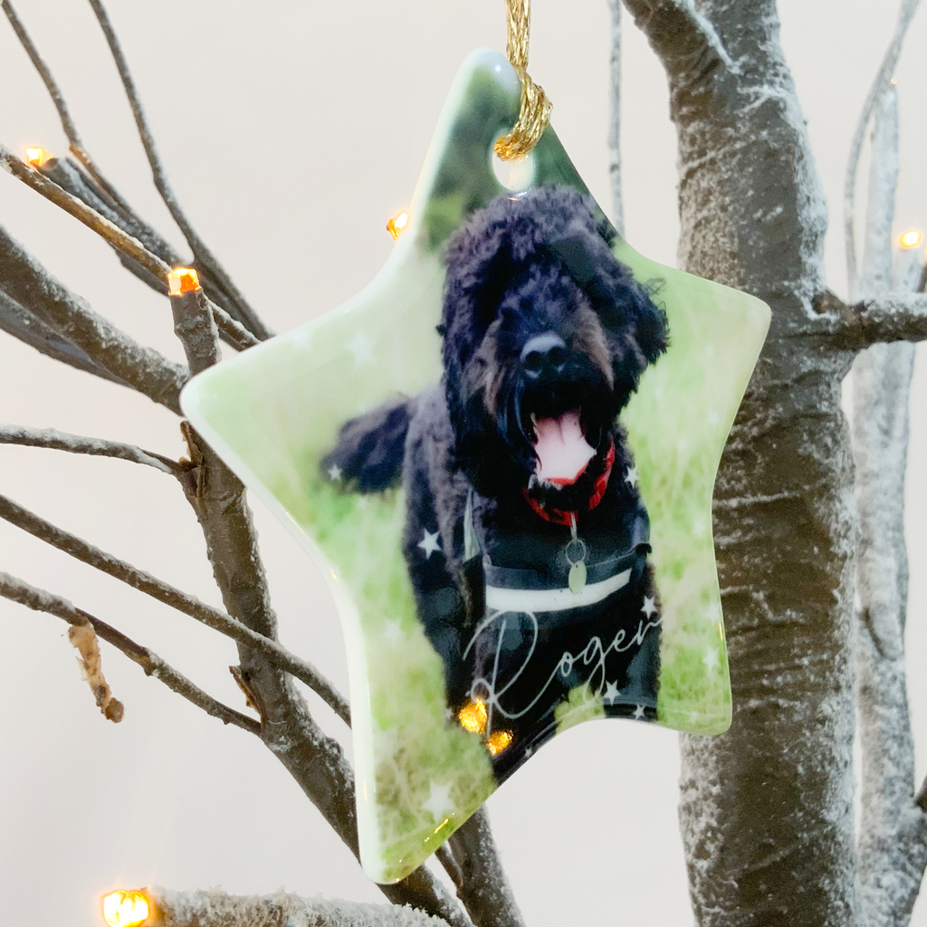Personalised Pet Photo Christmas Decoration Star Bauble