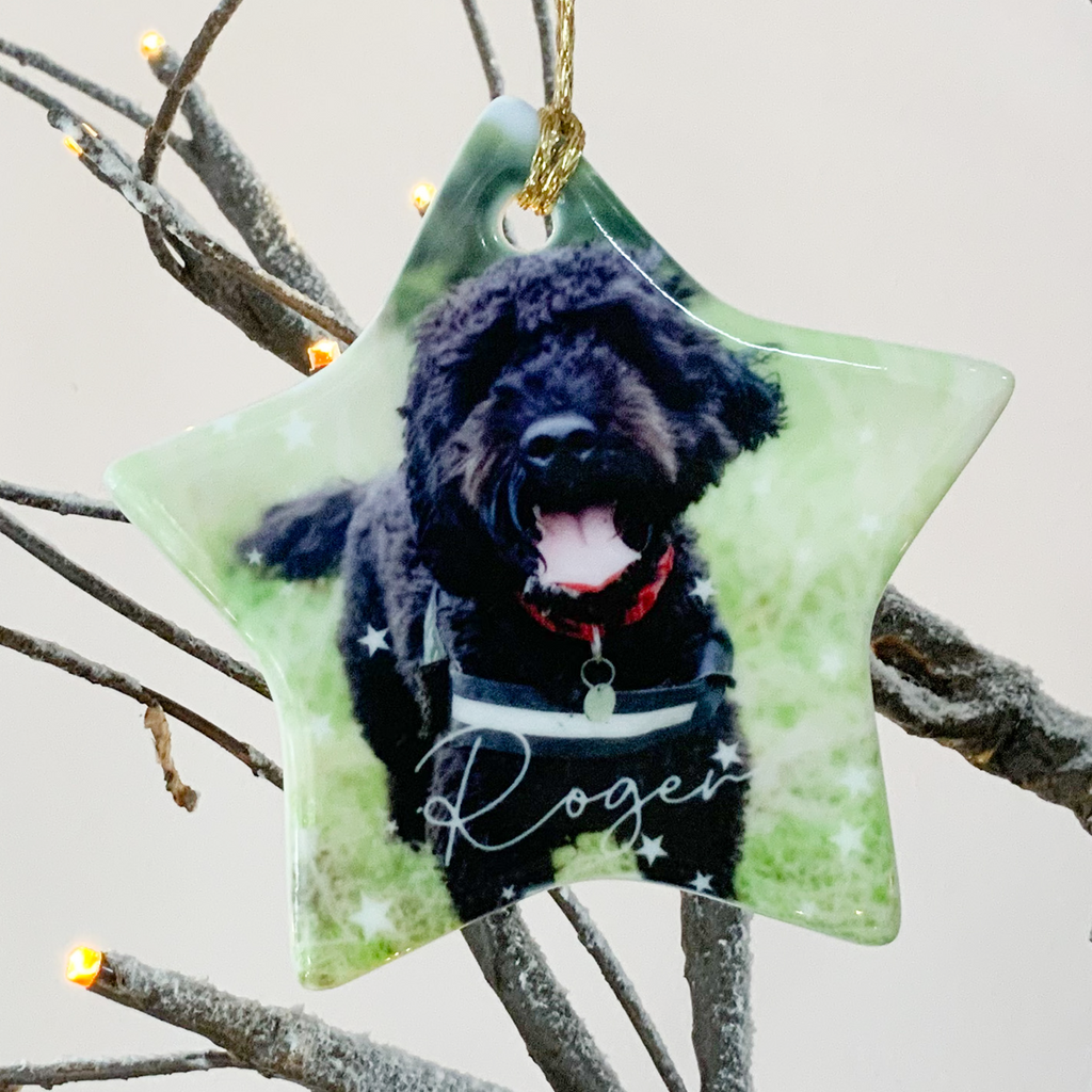 Personalised Pet Photo Christmas Decoration Star Bauble